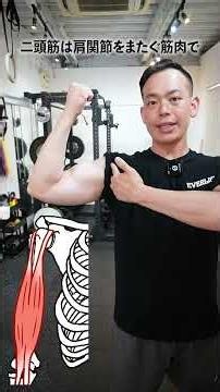 [Bench Press] 3 Real Causes of Muscle Imbalance