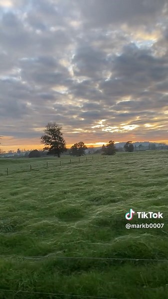 Over 40 Club: Empowering Women in Farming