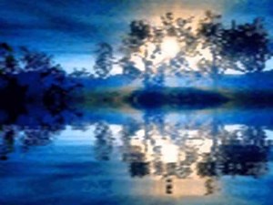 Velvet Waters Tony Worsley