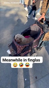 694 reactions · 286 shares | Stop the world and let me off | Don Hurley | Facebook