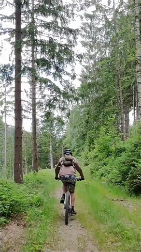 Traumweg fürs MTB - Der Sonnenweg ☀️ im Harz