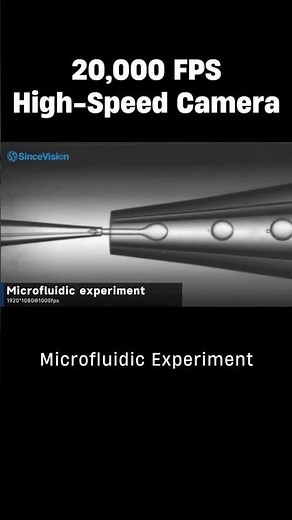 Microfluidic Experiment at 20,000 FPS Captured by High-Speed Camera