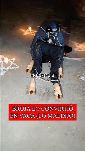 Bruja lo convirtió en vaca 😰💀