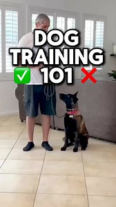 23K views · 436 reactions | At its core, dog training is about...
