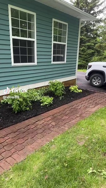 Sunday Garden Update: Weeding and DIY Tips