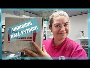 BALL PYTHON UNBOXING from Nicebalz | Snake Unboxing | WHAT DID WE GET??