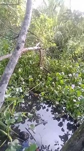 96K views · 2.2K reactions | Nakita ko yung diskarte ng ibang hunter #richardcapongcol #waraynonvloger | RichArd Capongcol | Facebook