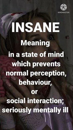 INSANE meaning in english with meaning