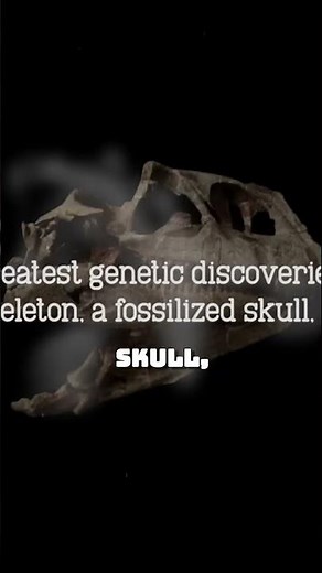 Surprising Secret of the Woolly Rhino's Genome #iceage #ancienthistory