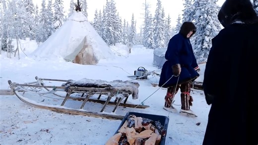 生活在世界尽头的涅涅茨人，这些游牧民族，是如何在严酷的北极苔原中生存的？俄罗斯的严寒天气