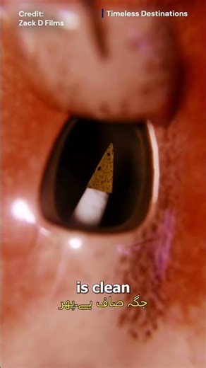 How a Dentist Removes an Infected Tooth Root