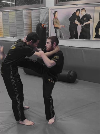 Master Krav Maga Techniques with Expert Guidance Online