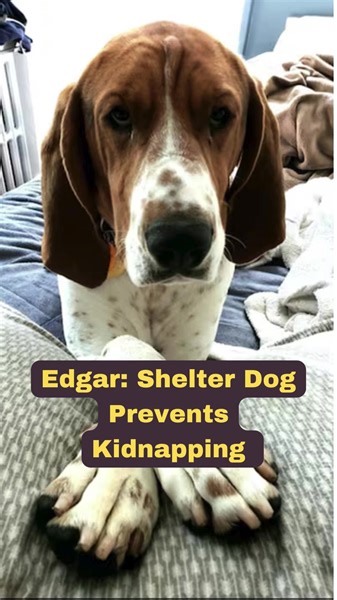 30K views · 3K reactions |  Unleash the Hero Within: Edgar's Epic...