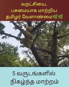 78K views · 1.6K reactions | வறட்சியை பசுமையாக மாற்றிய தமிழர் வேளாண்மை .. #tamilculture #agriculture | Tamil Culture | Facebook