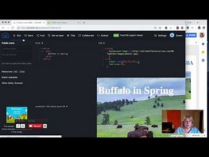 3.7 Using RGBA Colors to Change the Opacity of an Element