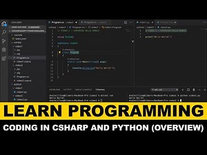 Learn Programming Fundamentals - How To Setup A C# and Python Project?