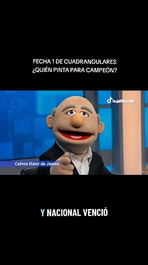 49K views · 4.2K reactions | Mientras @millosfcoficial descansa hablamos de los cuadrangulares @nacionaloficial @santafe_oficial @americadecali Para votar por mi, deben ir al post, comentar y dar like  | La Gallina Azul | Facebook
