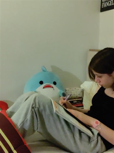 Son 5 ay 🙂 #study #keşfet #lgs2026