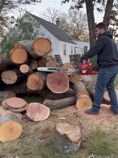 Husqvarna 390xp vs 592xpg this is a good combo what one are you taking? #husqvarna #chainsaw #faller