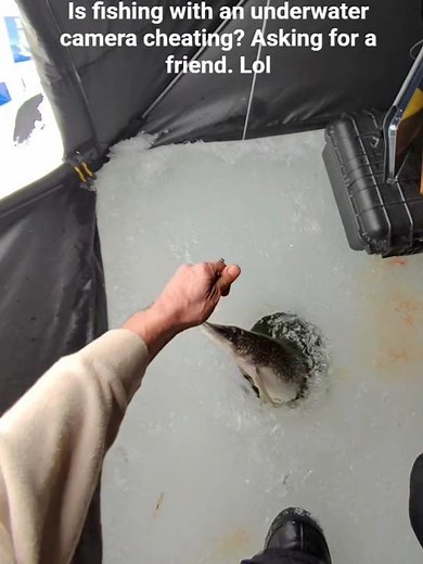 Ice fishing with an underwater camera is game changing. #pikefishing #icefishing