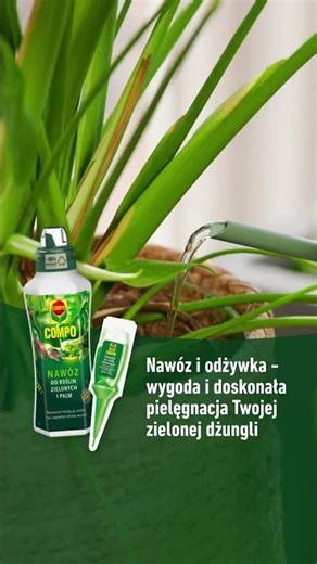 Rośliny domowe w dobrych rękach - pielęgnuj je z COMPO