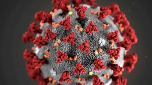 Scientists call for probe into Covid-19 origin