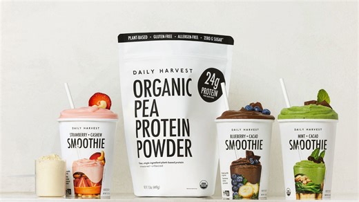 Daily Harvest introduces new Organic Pea Protein Powder: Price, availability, and more details explored