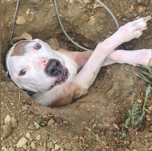 109K views · 4.2K reactions | “…Аnd the earth slammed shut like a...