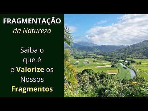 Entenda a Fragmentação