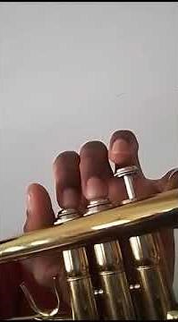 D major scale Trumpet - C concert