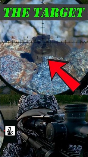 FX IMPACT M4 Takes Down PEST With PRECISION