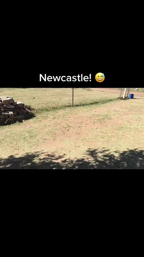 Amahlaya EsiZulu II on TikTok