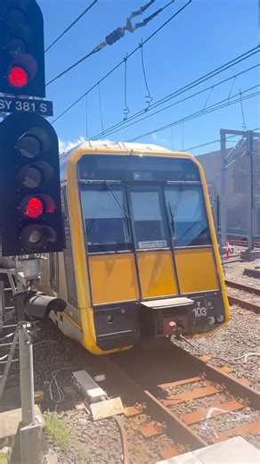 T-set #train#trainspotting#railway#railfan#nswtrains#nswtransport#nswtrainlink#travel#youtubeshorts