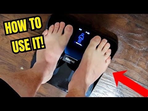 How to Fully Use This Body Fat Scale with App Demo