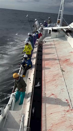 1.5K views · 18 reactions | The 5 most difficult jobs in the world top5 difficult job Top5expensive | Top 5 | Facebook