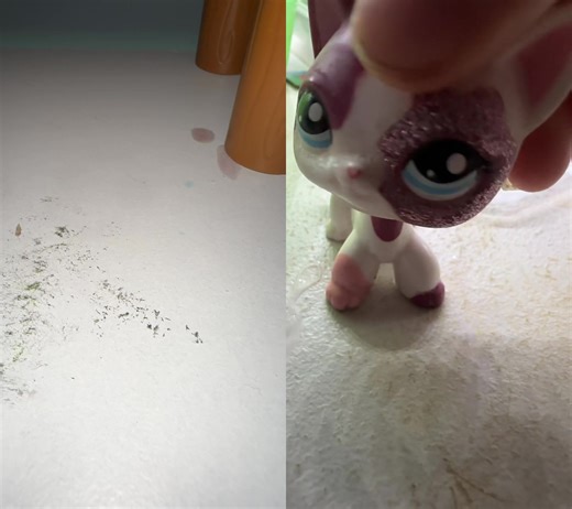 #duet with @❦꧁𝓴𝓪𝓽꧂❦ #lps