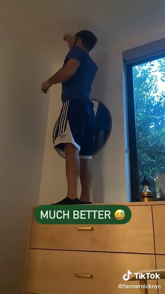 DIY Grow Light Setup for Indoor Plants