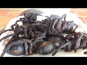 Cambodian Eat Tarantula - Tarantula in Cambodia - Cambodian Street Food #23