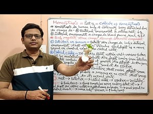 Anatomy & Physiology (10) Homeostasis in Human | Homeostasis Control System (Part 01)