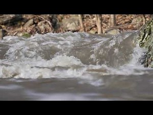 Kenduskeag Stream, Bangor, Maine