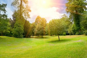 How Much Does A Perc Test Cost?