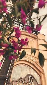 40K views · 756 reactions | "Voltron is not just another thrill ride, it is a once in a lifetime odyssey" - this awesome video created by BOOVStudio perfectly sums up an electrifying ride on Voltron Nevera! ⚡️ P.S. Make sure you have your volume on  | Europa-Park | Facebook