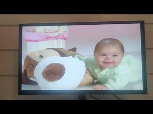 Opening to Baby Einstein: Mom's #1 Choice Boxset - Lullaby Time 2007 DVD (Disc 25)