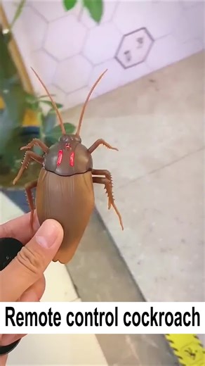 #foryou #fyp #toy #toys#telecontrol #cockroch