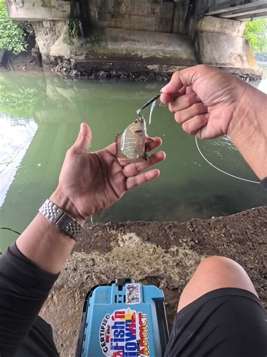 Red Snapper Fishing with Metal Jigs: Tips and Techniques