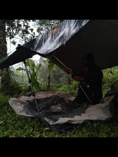 Relaxing Rain Camping ASMR in Forest (1 Hour)