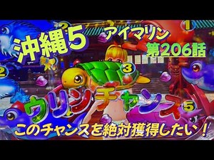 仕事帰りの立ち回り第206話 PAスーパー海物語 IN 沖縄5 with アイマリン #海物語 #沖縄5 #アイマリン #パチンコ #甘デジ #猫のいる生活 #猫がいる暮らし