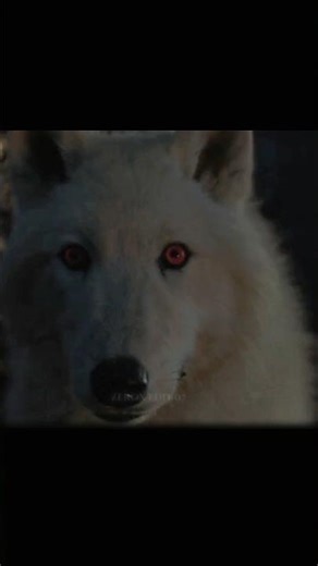games of thrones #gameofthrones #shorts #viralshorts #dragon #moviescenes #mother #of #dragon