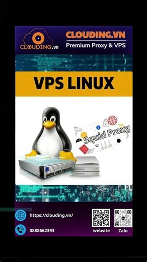 Squid Proxy là gì? 🤔