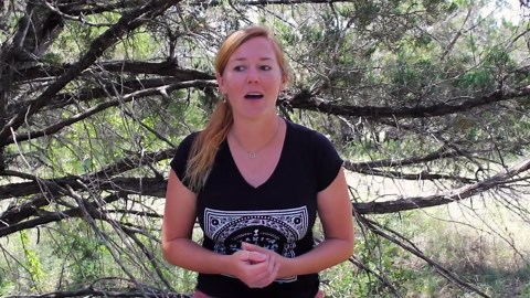 A DIY Folding Adirondack Chair You Can Make